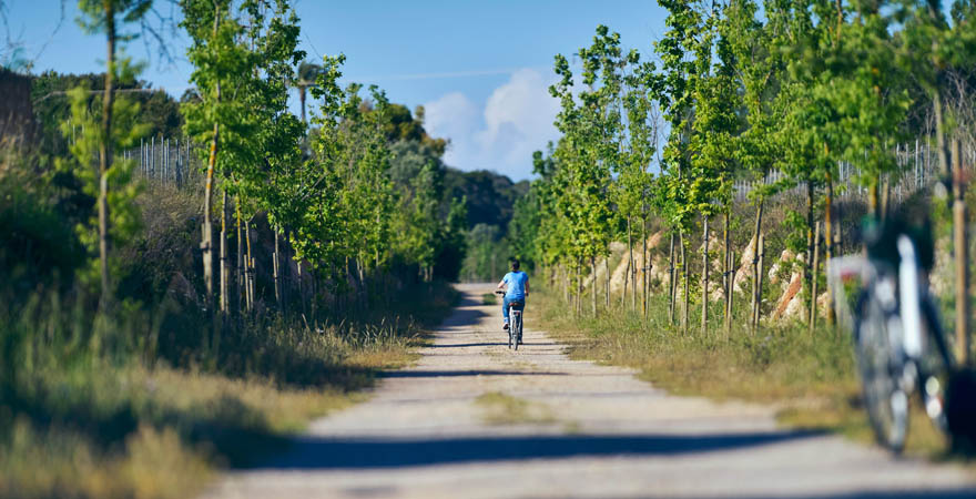 Frau fährt auf dem Weg der alten Bahnstrecke. Bicis Verdes.