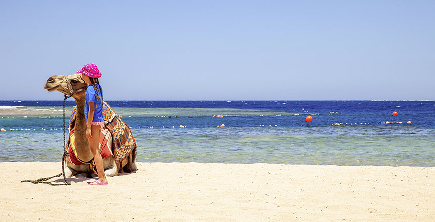 Kind mit Kamel an einem Strand