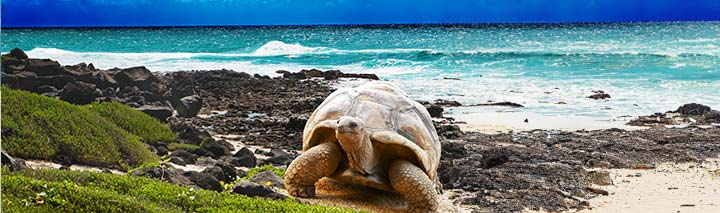 Seychellen Ferien zu Schnäppchenpreisen!