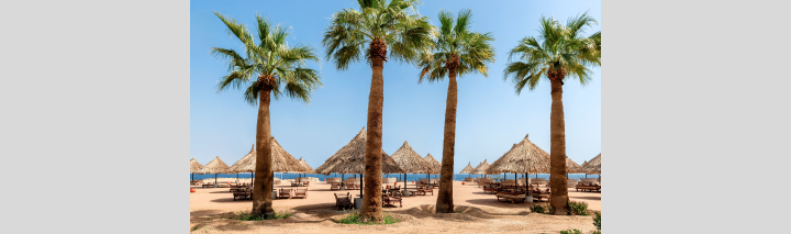 Marsa Alam Hotels