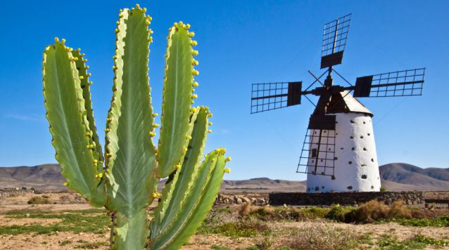 Die beste Reisezeit für Fuerteventura erfahren Sie hier bei 5vorflug.de!