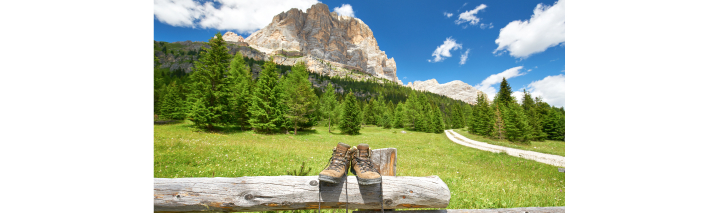 Frühbucher Italien Südtirol