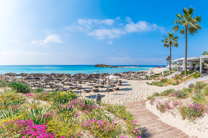 Ein sonniger Strand mit einem Gehweg und mehreren bunten Sonnenschirmen, die zum Entspannen einladen. Ein sonniger Strand mit einem Gehweg und mehreren bunten Sonnenschirmen, die zum Entspannen einladen.